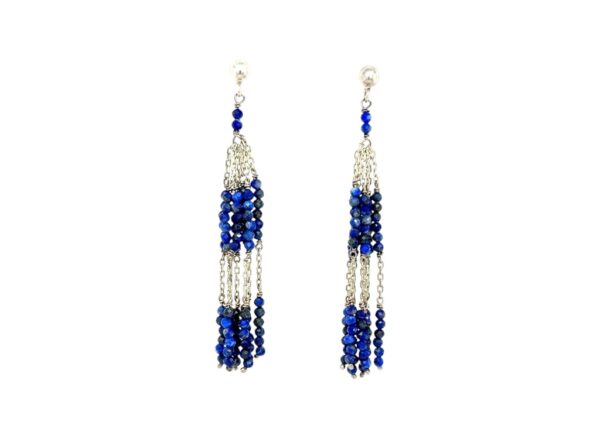 AROS RACIMO AZUL