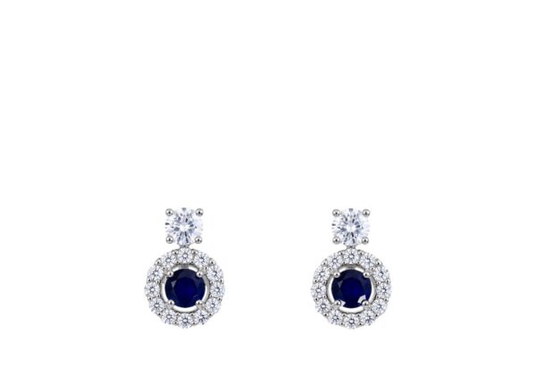 AROS PLATA HORTENSIA